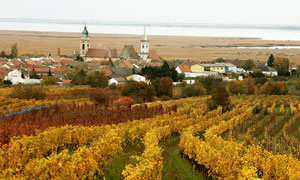 Rust vineyards