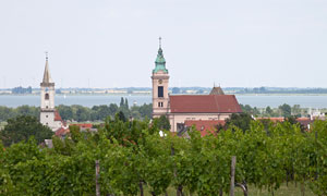 Rust vineyards lake view